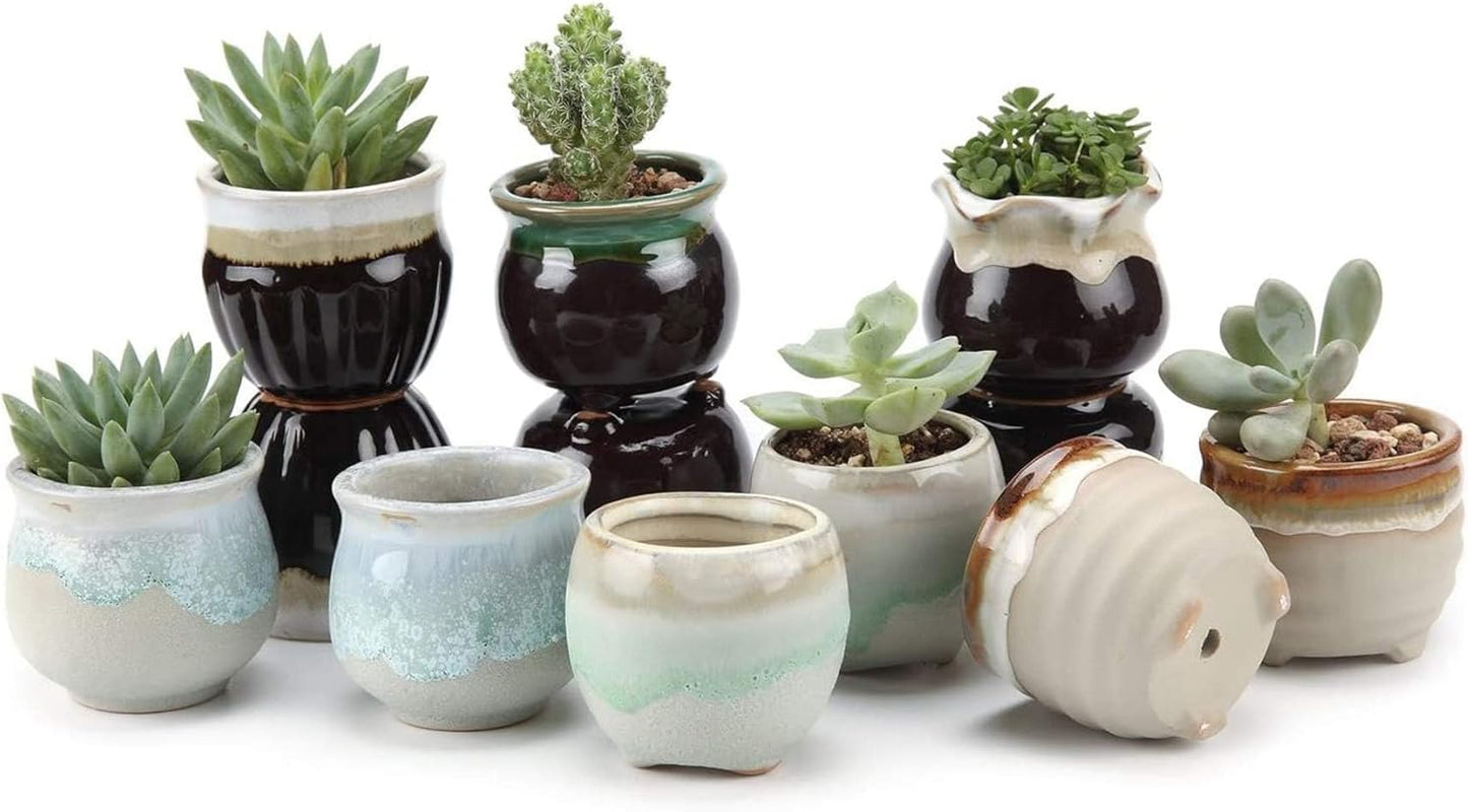 T4U Small Ceramic Succulent Pots with Drainage - Set of 12, Mini Pots for Plants, Home and Office Decor, Plant Lover Gifts for Women