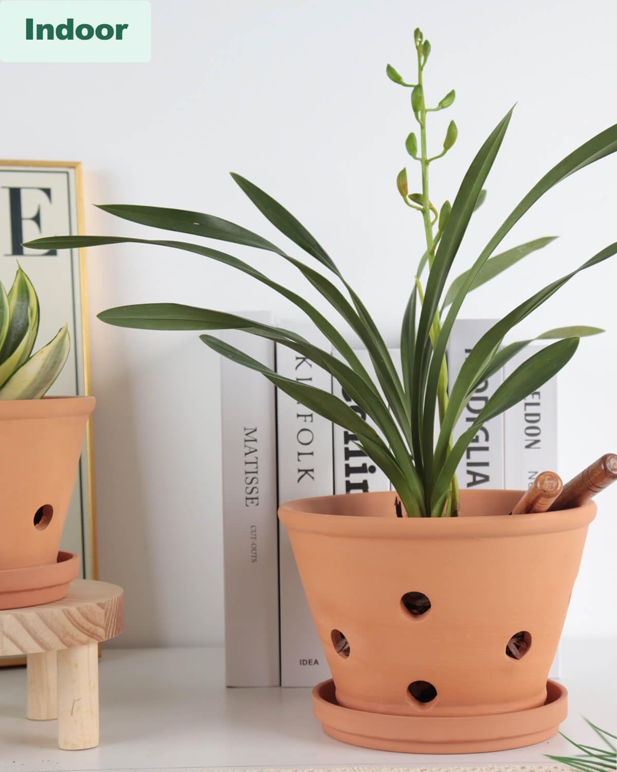 vensovo 4 Inch Terracotta Orchid Pots with Holes and Saucers - 6 Pcs Small Clay Planters for Repotting, Terra Cotta Pot for Plants Indoor and Outdoor Promotes Air Circulation