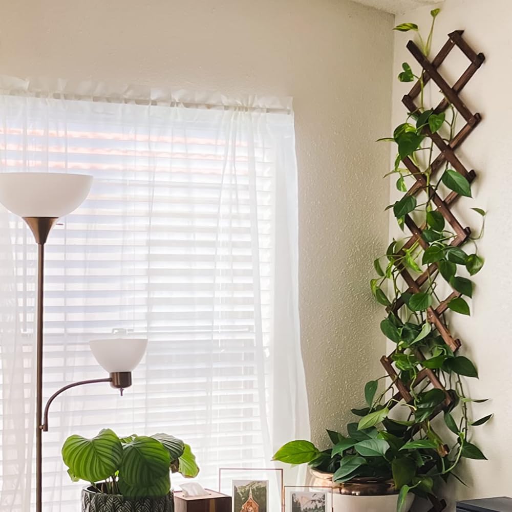 2 Pcs Expandable Garden Trellis, Wooden Lattice Wall Fence Trellis for Climbing Plants Ivy Vine Rose Clematis 13" x 68" for Outdoor Garden Patio Room Decor (2)