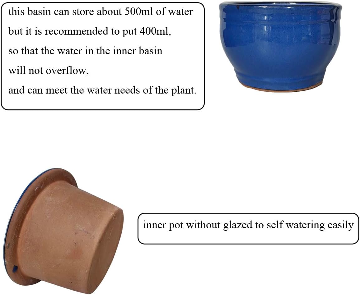 African Violet Pots Self Watering Round Ceramic Violet Pot (Blue, 6 inch)