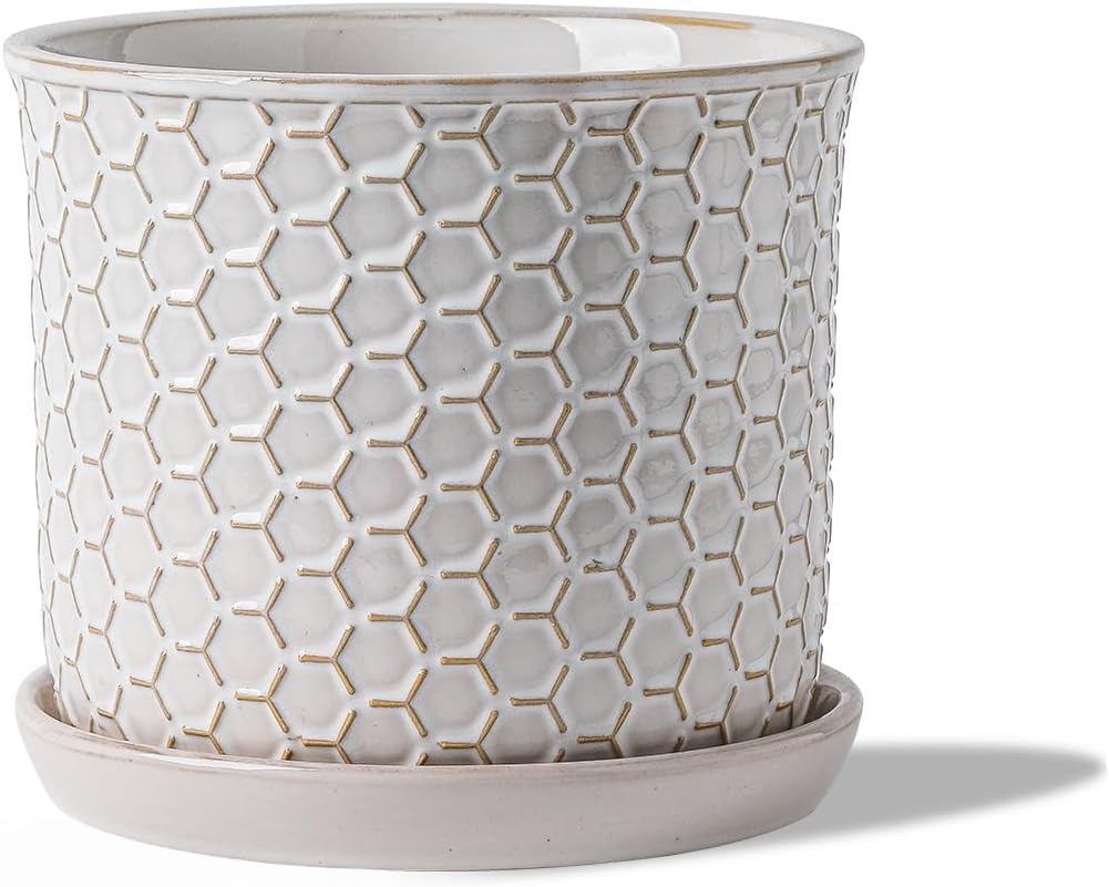 5.8 Inch Plant Pot: Ceramic Planter with Drainage Hole & Saucer - Flowerpot for Indoor & Outdoor Plants with Separate Tray for Home & Office - Honeycomb Design, Cream White