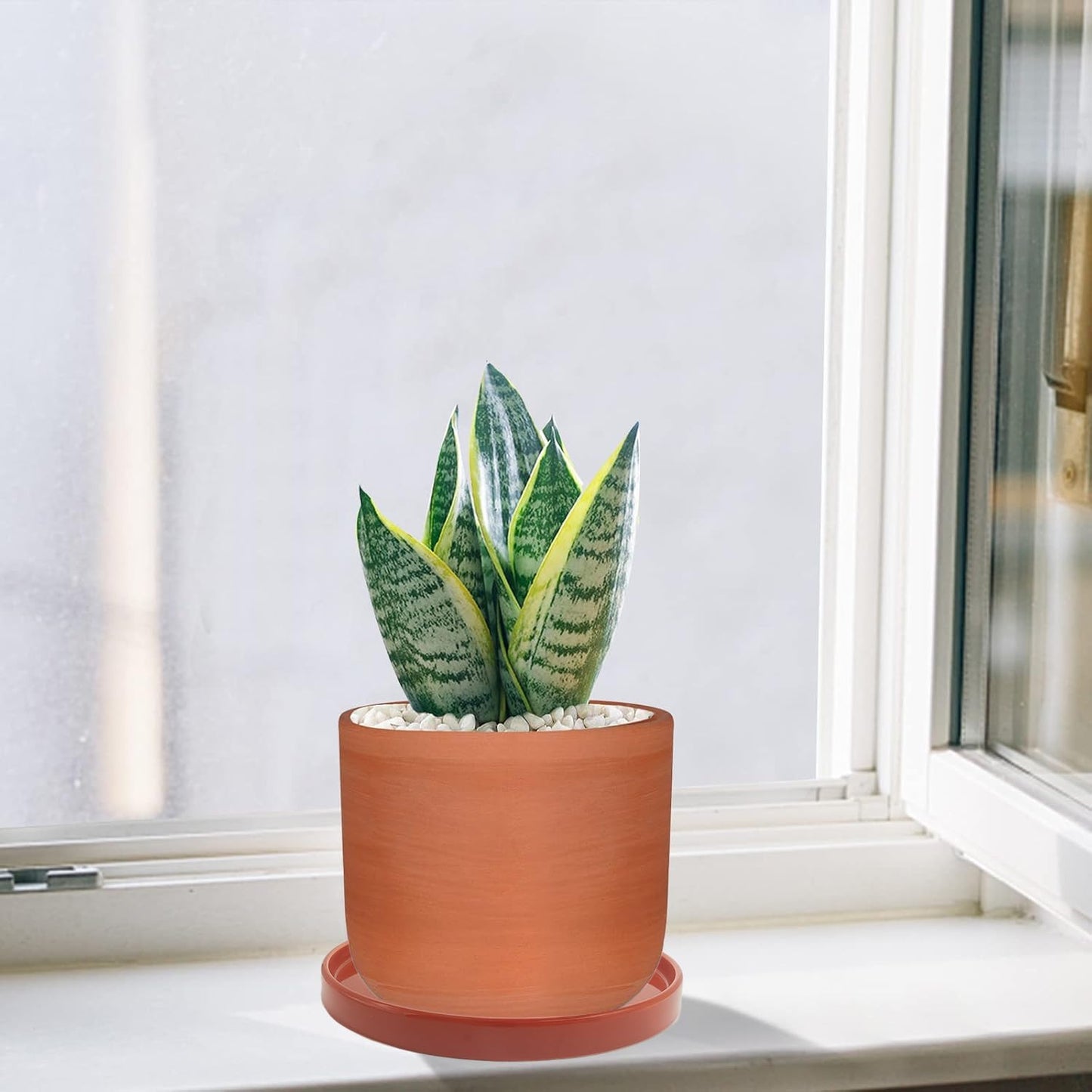 2 Pack Ceramic Plant Saucer Pot Tray 6 Inch Terracotta, Planter Saucers 6 7 8 9 10 11 12 15 Inch, Durable Sturdy Flower Drainage drip Water Tray for Glazed Pots Base (6.4 Inch- Red Terracotta)
