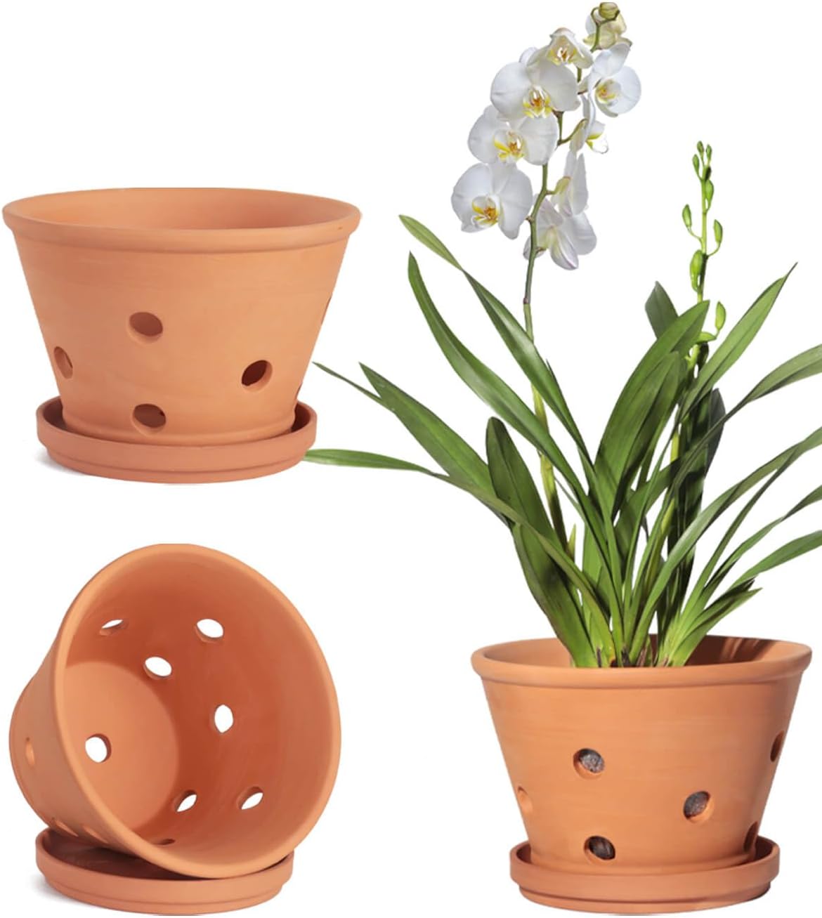 vensovo Terracotta Orchid Pots with Holes and Saucers - Clay Orchid Planter Pots for Repotting, Plant Flower Pots for Orchid Indoor and Outdoor Promotes Air Circulation