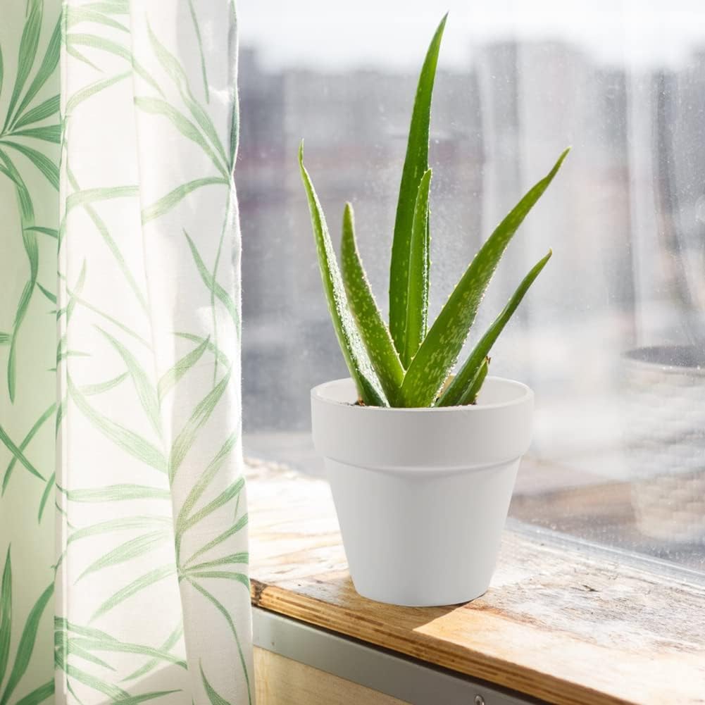 3 Inch Terracotta Pots - 22Pack Clay Flower Pots with Drainage Hole, Succulent Nursery Pot/Cactus Plant Pot. Great for Plants, Crafts, Wedding Favorn, DIY Production (White)