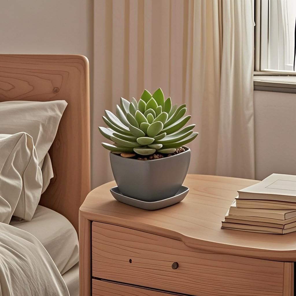 Square Plant Saucer 4 Inch 2 Pack，Plant Trays for Pots, Gray Ceramic Plant Saucers for Indoors Outdoors, Plant Drip Tray 4 6 8 10 12 14 Inch