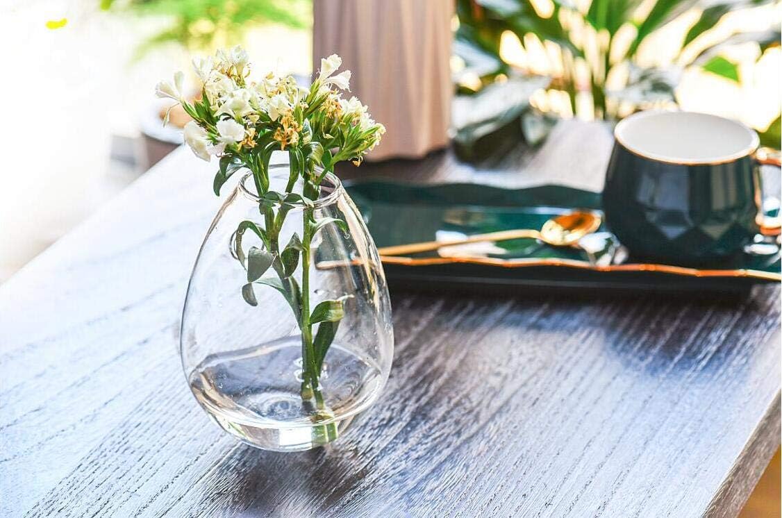 Kingbuy Wall Hanging Propagation Station Glass Plant Terrarium Container Egg Shape for Propagating Hydroponic Plants Home Office Garden Decor Wedding, 4 Pack