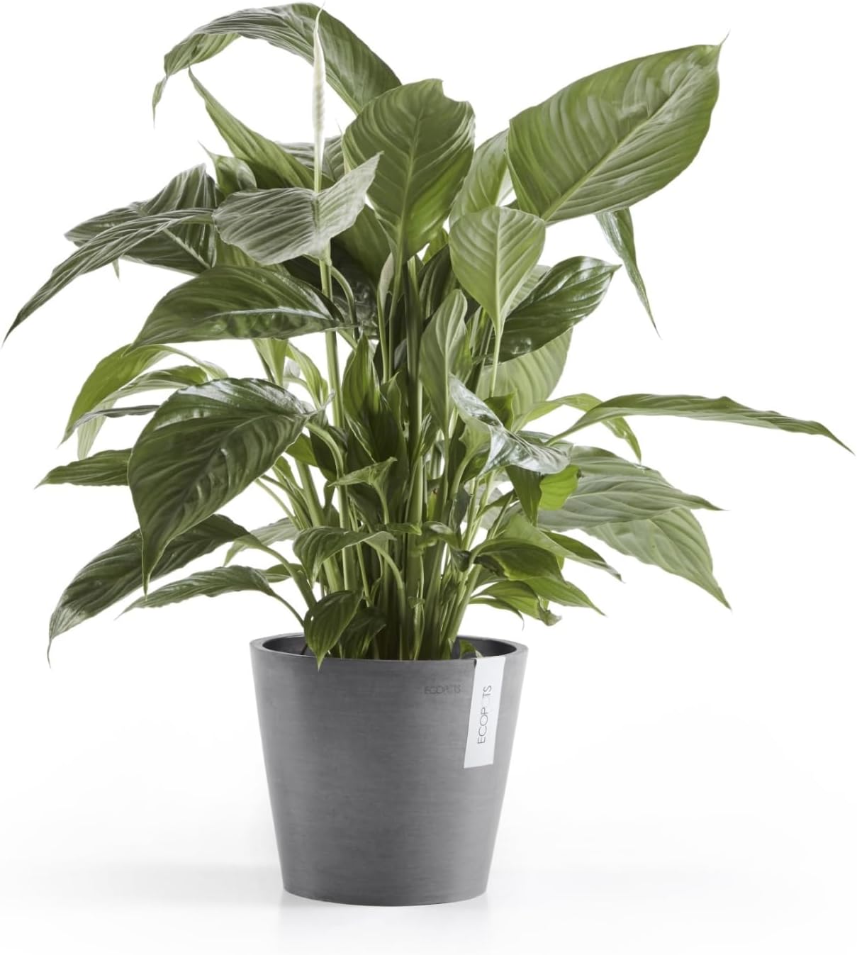 Ecopots Amsterdam Durable Modern Round Indoor/Outdoor Recycled-Based Composite Flower Pot Planter, Grey, 8"