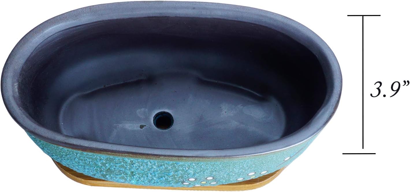 ARTKETTY Succulent Pots, 7.9" Rectangle Succulent Planters with Drainage Tray, Shallow Planters for Indoor Plants Ceramic Cactus Pots Bonsai Flower Plant Container for Home Windowsill Decor