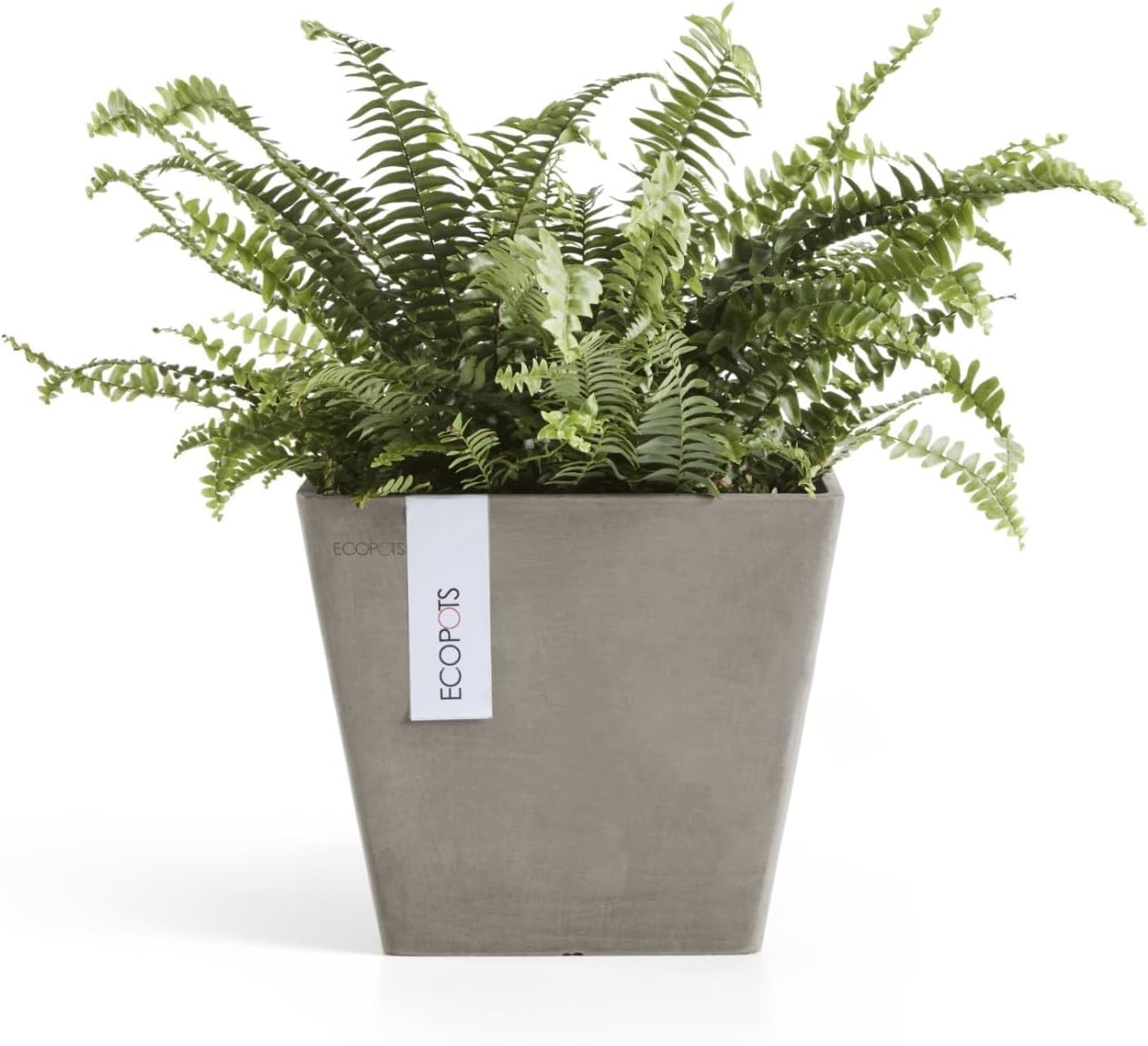 Ecopots Rotterdam Durable Modern Square Indoor/Outdoor Recycled-Based Composite Flower Planter, Taupe, 8"