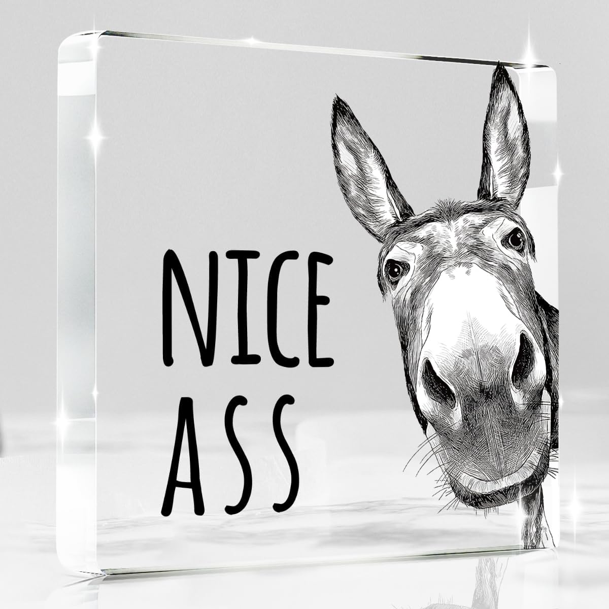 Funny Donkey Animal Prints Toilet Room Decor - Nice Ass Quotes Bathroom Acrylic Sign,Funny Bathroom Decor for Toilet Restroom Washroom Donkey Accessories 4x4 Inch