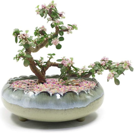 Dahlia 8.3'' Inch Large/Shallow/Wide Drip Glazed Ceramic Planter/Succulent Pot/Plant Pot, Gray