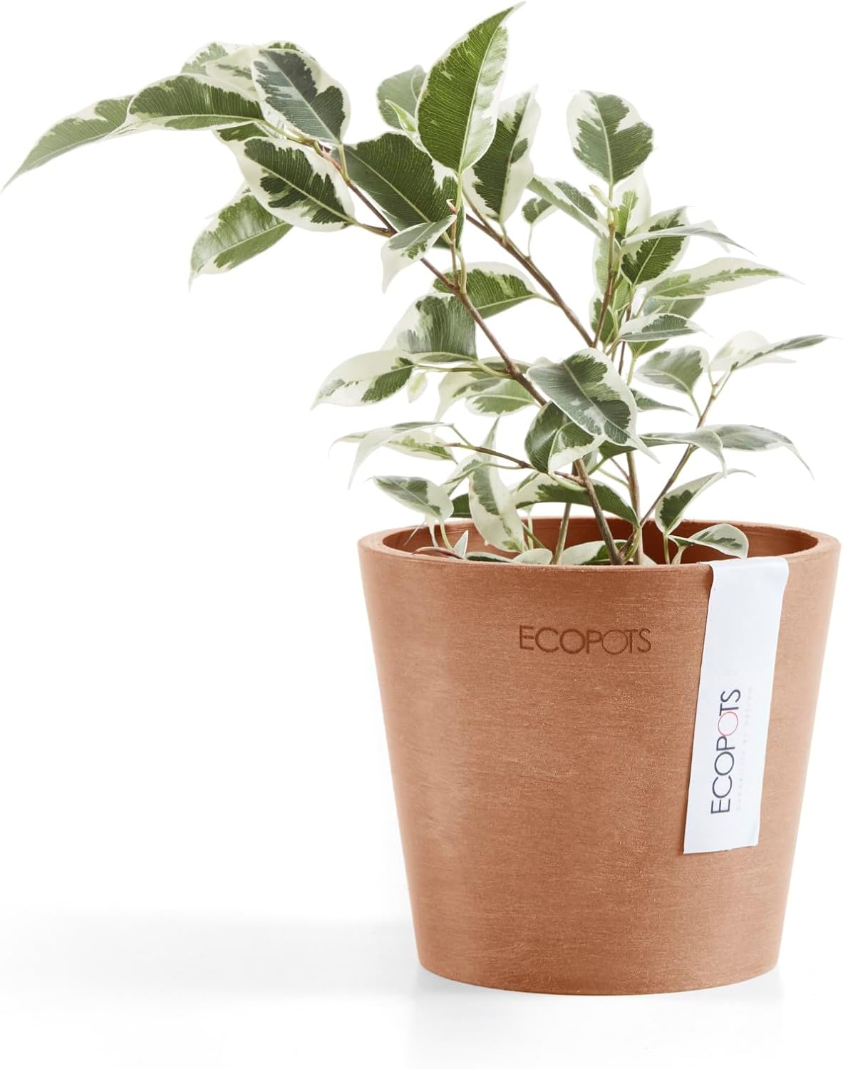 Ecopots Amsterdam Mini Durable Modern Round Recycled-Based Composite Flower Pot Planter, Terracotta Color, 4"