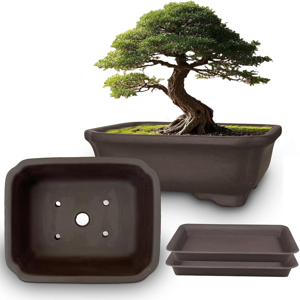 MUZHI 2PACK Unglazed 6” Ceramic Bonsai Pot with Humidity Trays, Breathable Handmade Rectangle Bonsai Starter Planter for Bonsai Tree, Juniper,Ficus, Money Tree