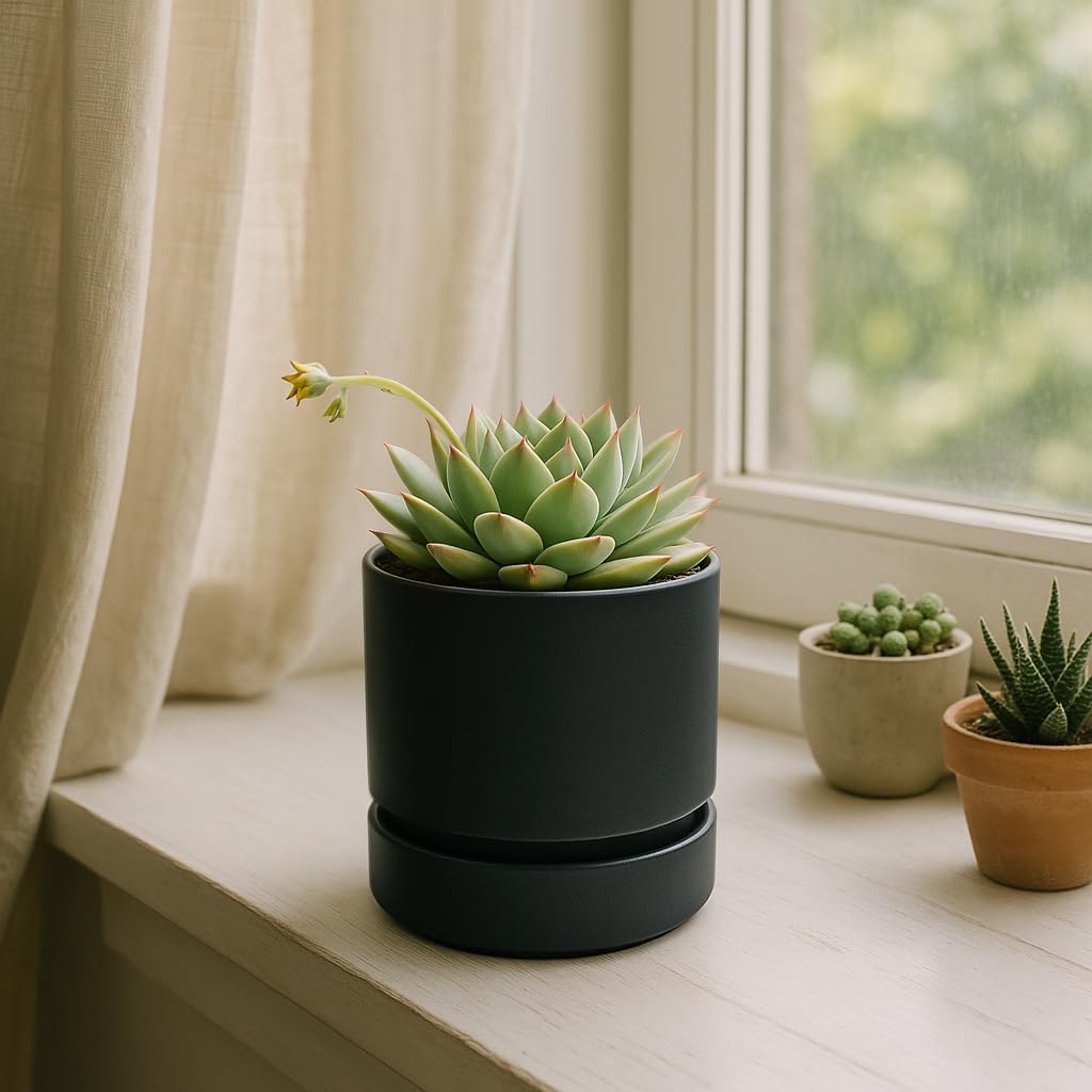 Phoenix Vine 4 Inch Planter Pot with Drainage Hole & Saucer, Deep Water Catch Tray, Straight Cylindrical Round Pot for Plants, Matte Black, Pack of 4, 23-C-R-4