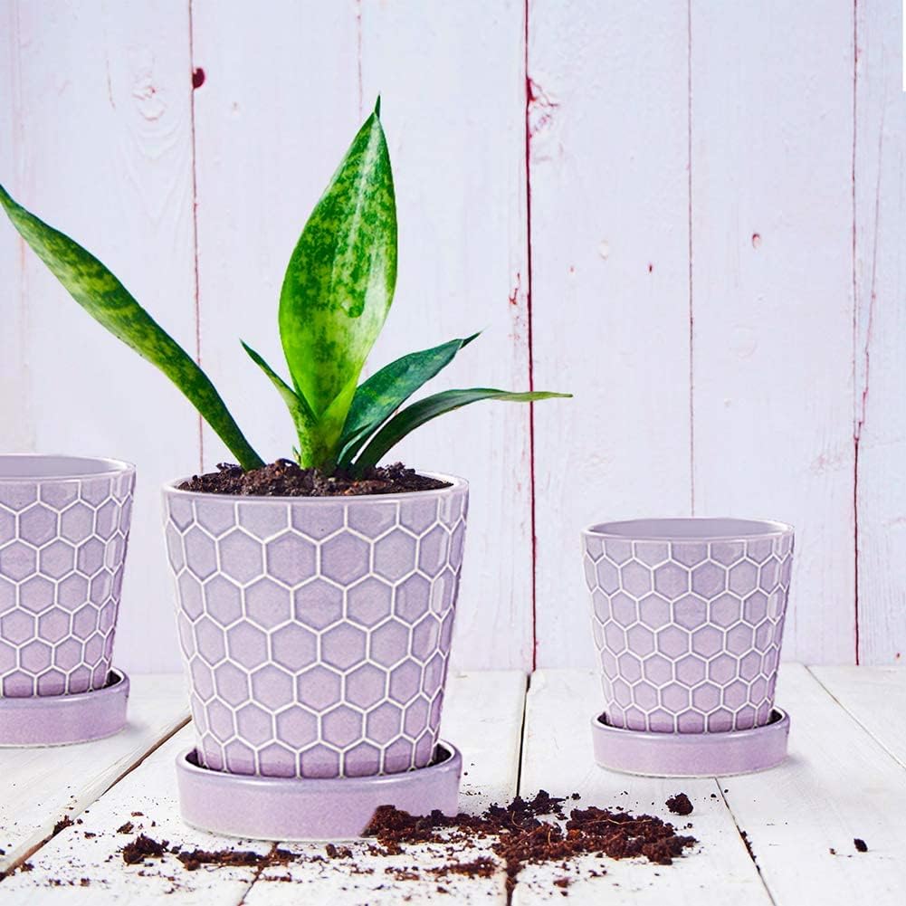 EFISPSS Flower Planter –5 inch Ceramic Plant Pots with Drainage Holes and Ceramic Tray - Gardening Home Desktop Office Windowsill Decoration Gift Set of 4 - Purple