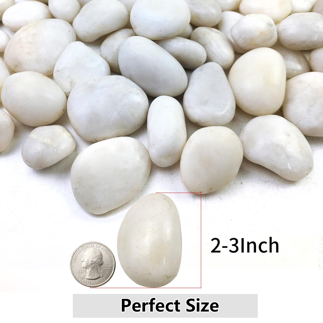 10lbs White River Rocks, 2-3 Inch Natural Pebbles for Indoor Plants, High Polished Decorative Stones Vase Filler Fish Tank Aquariums Landscaping Garden Outdoor and Indoor DIY