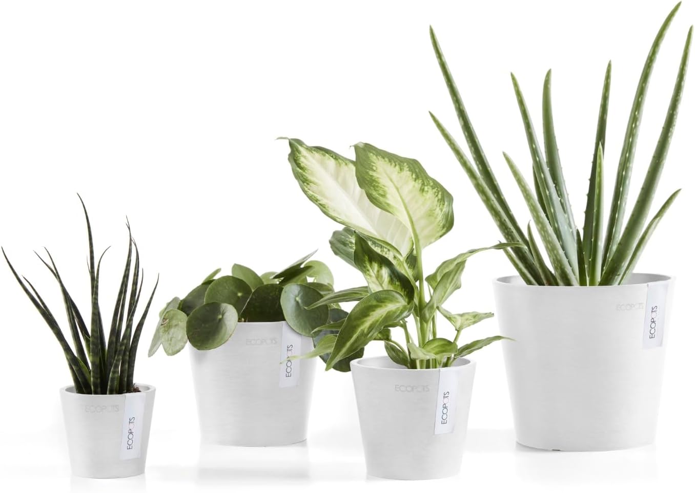 Ecopots Amsterdam Mini Durable Modern Round Recycled-Based Composite Flower Pot Planter, Pure White, 3"