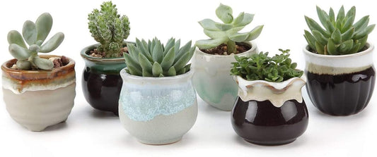 T4U Mini Ceramic Succulent Pots with Drainage - Set of 6, Tiny Pots for Plants, Home and Office Decor, Plant Lover Gifts for Women
