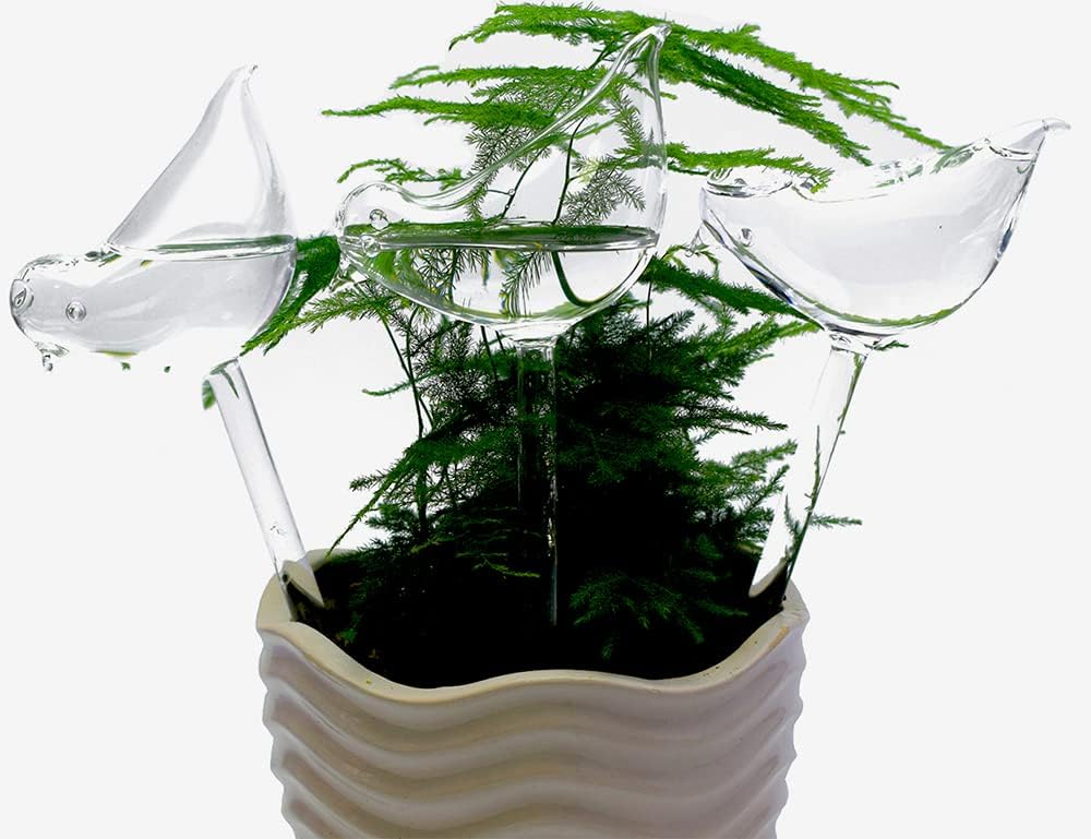 Glass Plant Watering Globes, Self Watering Globes Bird Shape, Self Watering Planter Insert, Plant Watering Devices, Automatic Plant Waterer Indoor, Watering Bulbs, 3 Pack