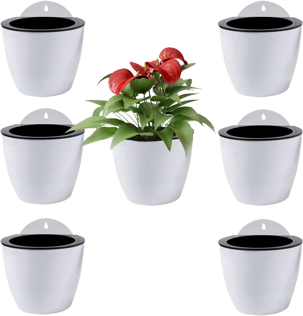 ShoppeWatch Self Watering Wall Planters for Indoor Plants 7 Pack | Hanging Planters Medium 5 Inch with Hooks | White Wall Pots for Plants | 5.0 x 5.3 inches PL34