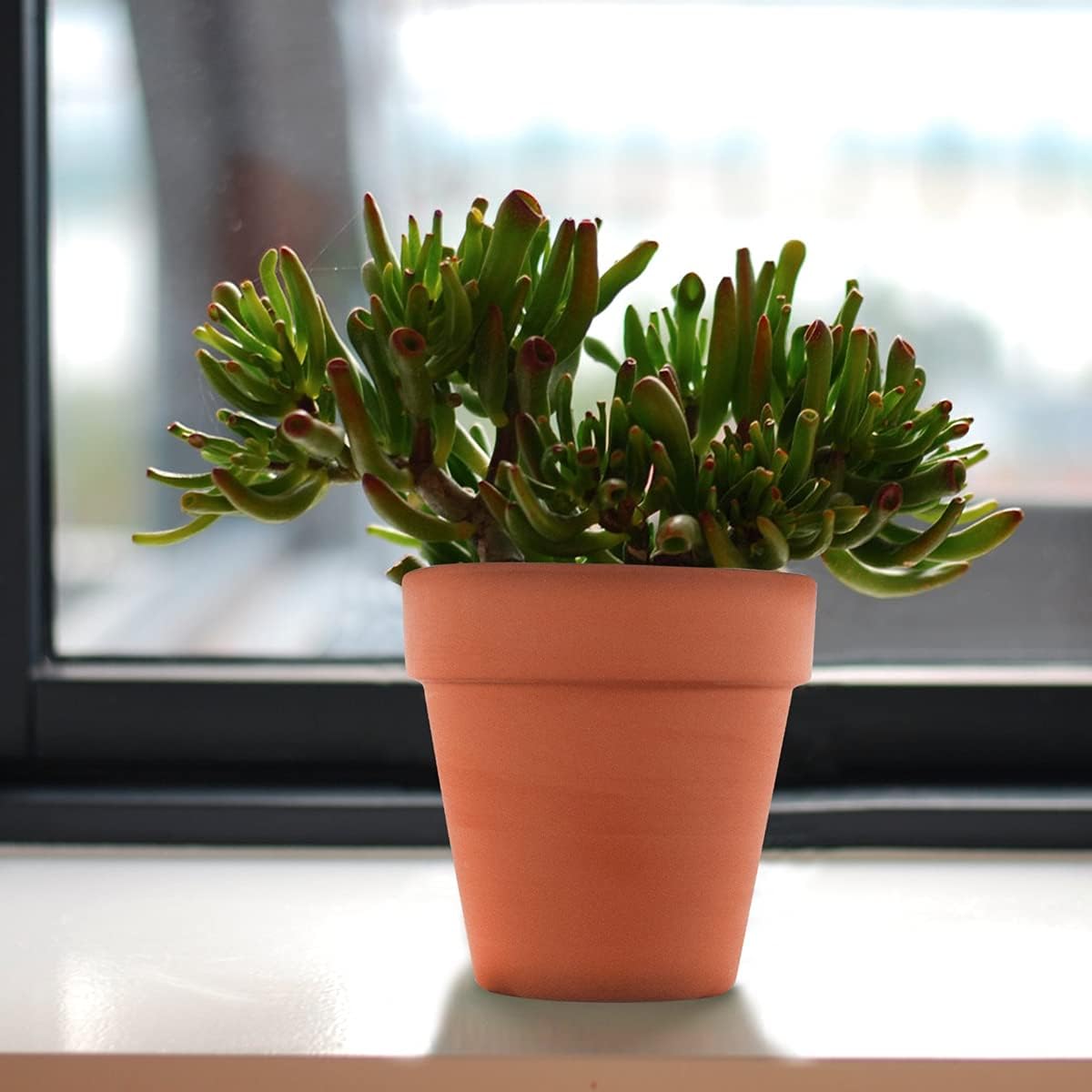 3 Inch Terracotta Pots - 22Pack Clay Flower Pots with Drainage Hole, Succulent Nursery Pot/Cactus Plant Pot. Great for Plants, Crafts, Wedding Favorn, DIY Production