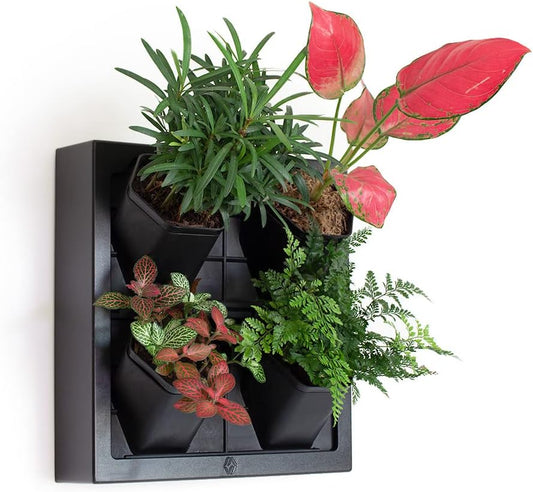 Self Watering Wall Planter with 4 Pots - Easy to Create Indoor Living Wall for Home, Office and Shop Front - Includes Water Gauge (Black)