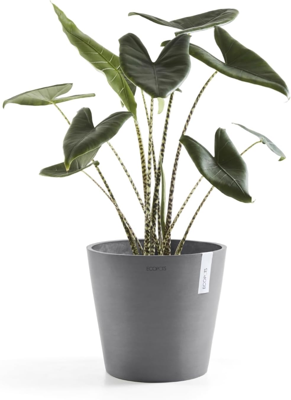 Ecopots Amsterdam Durable Modern Round Indoor/Outdoor Recycled-Based Composite Flower Pot Planter, Grey, 10"