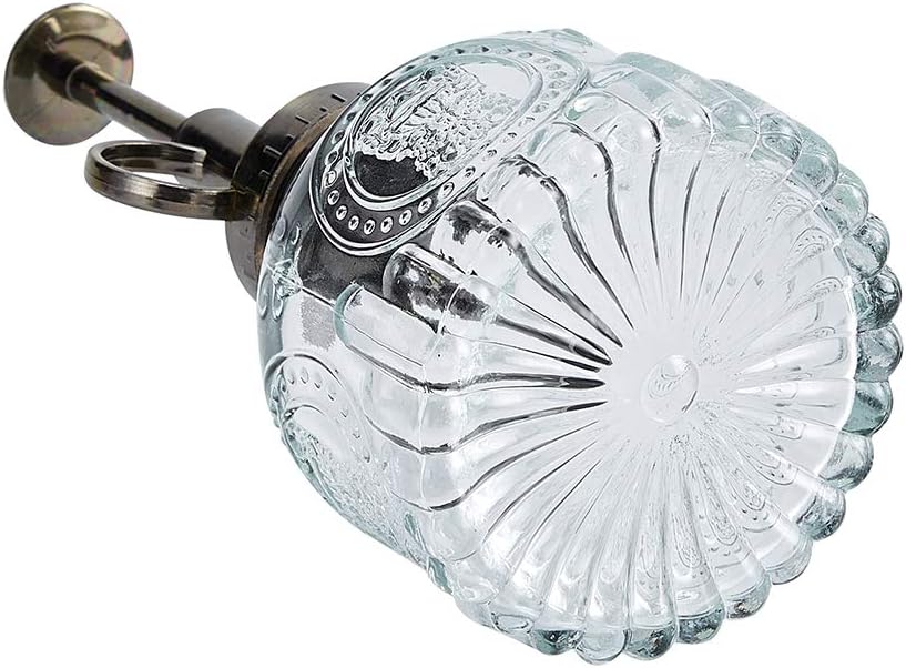 Glass Plant Mister Spray Bottle, 6.5" Tall Vintage Plant Spritzer Watering Can, Succulent Watering Bottle with Top Pump, Small Plant Sprayer Mister for Indoor Outdoor Houseplant - Clear