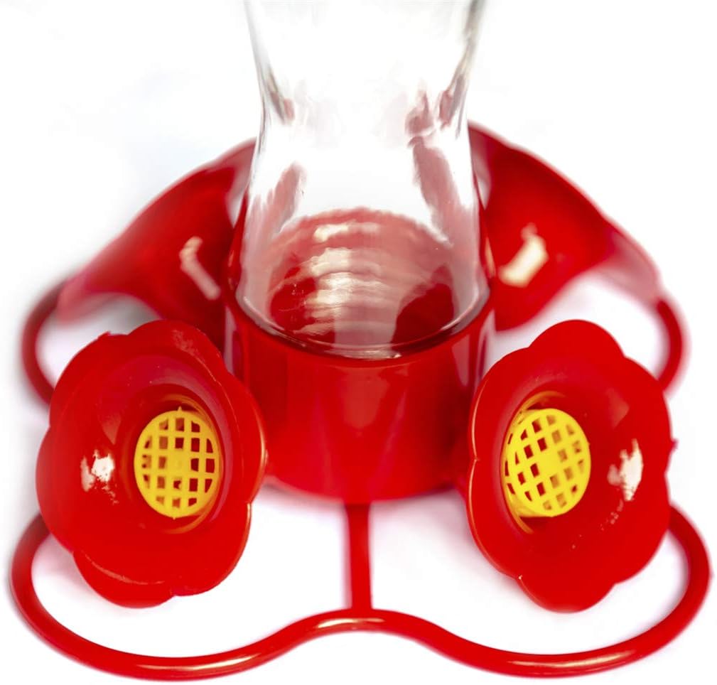 Nature's Rhythm Bird Feeder 4 bee Guard Plastic Feeding Port 8oz Glass Pinch Waist Hummingbird Feeder,1pcs