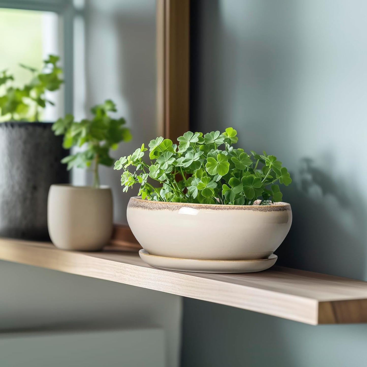 SQOWL Succulent Pots 8 Inch - Ceramic Bonsai Pots for Indoor Plants, Round Shallow Plant Pot with Drainage Hole and Saucer, Bowl Planter Outdoor, Patio Decor, Plant Lover Gifts, Beige