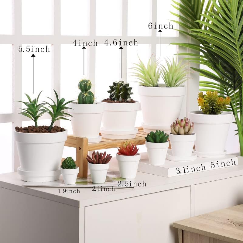 White Terra Cotta Pots with Saucer- 6-Pack Small Terracotta Pot Clay Pots 4'' Clay Ceramic Pottery Planter Cactus Flower Pots Succulent Pot with Drainage Hole- Great for Plants,DIY Craft Projects