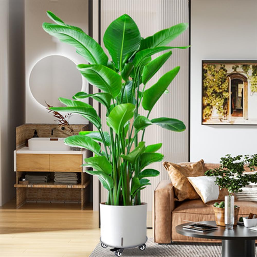 Plant Stand with Wheels,3.0mm Thick Aluminum Alloy Plant Caddy with Wheels Heavy Duty, Rolling Plant Stand Holds 12 Inch and 500lbs(Black)