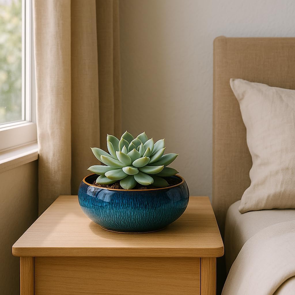 Lotus Bowl Planter, Lotus Bowls for Planting in Water Indoors, Ceramic Planters for Indoor Plants, Thickened Round Planter, for Succulent Plants Leak-Proof Design (Blue)