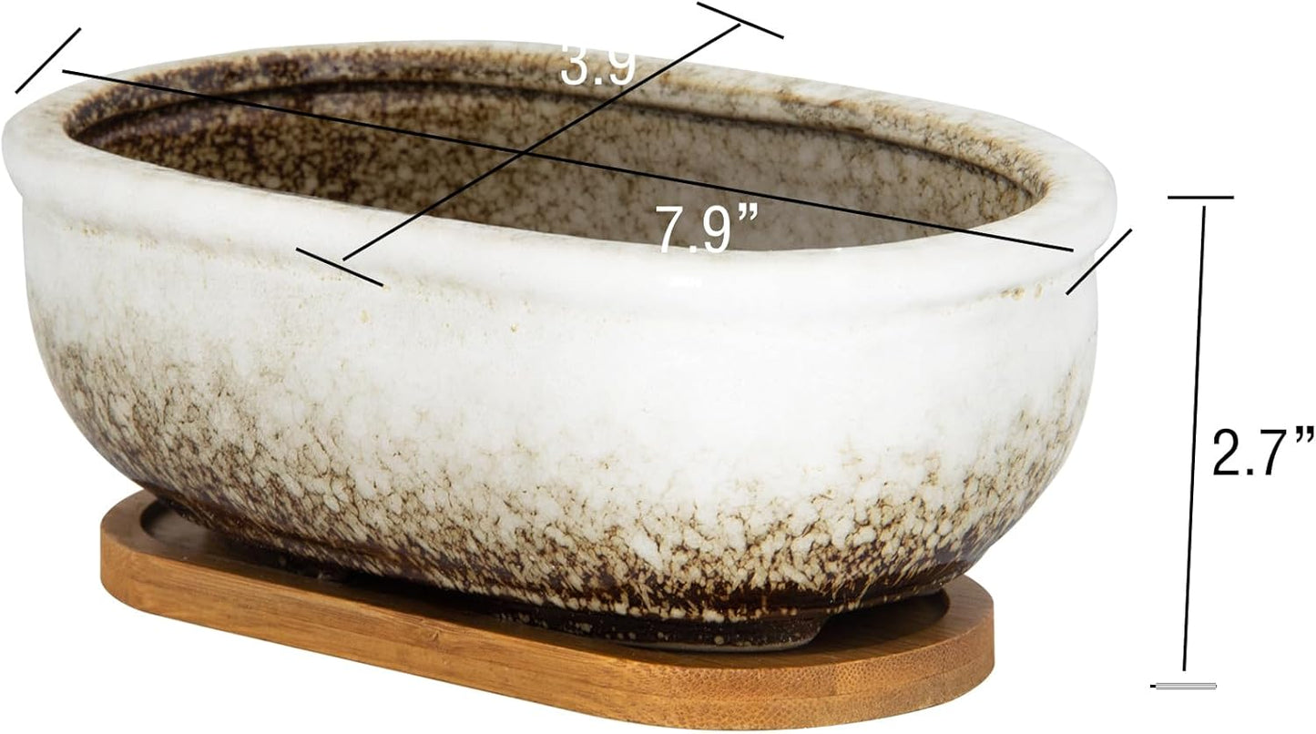 Succulent Pots, 7.9 Inch Long Rectangular Succulent Planters with Drainage Tray, Shallow Planters for Indoor Plants Ceramic Cactus Pots Glazed Bonsai Flower Plant Container for Home Windowsill Decor