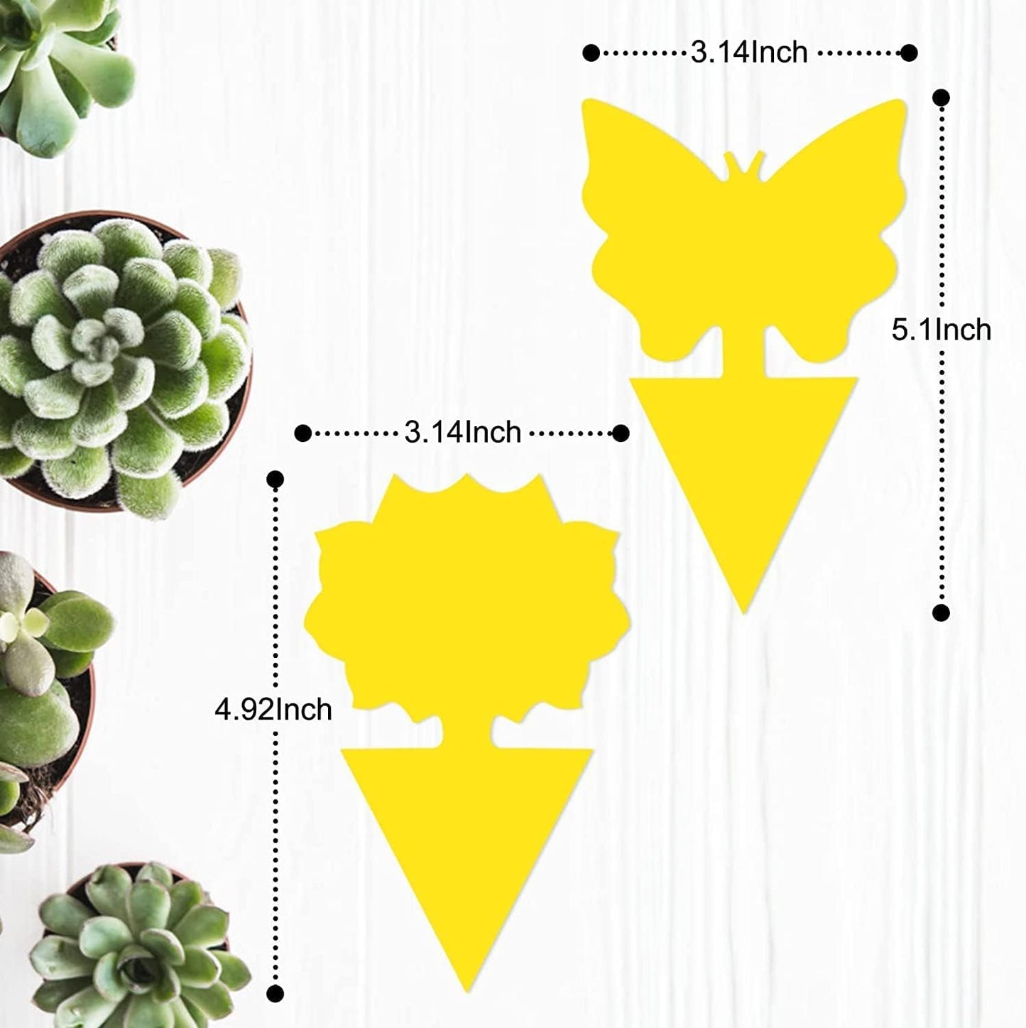 36 Pack Fruit Fly Traps for Indoors, Gnat Traps for House Indoor, Sticky Traps Fungus Gnats Killer for Mosquito and Flying Insects, Bug Pest Insect Catcher Killer for Houseplant