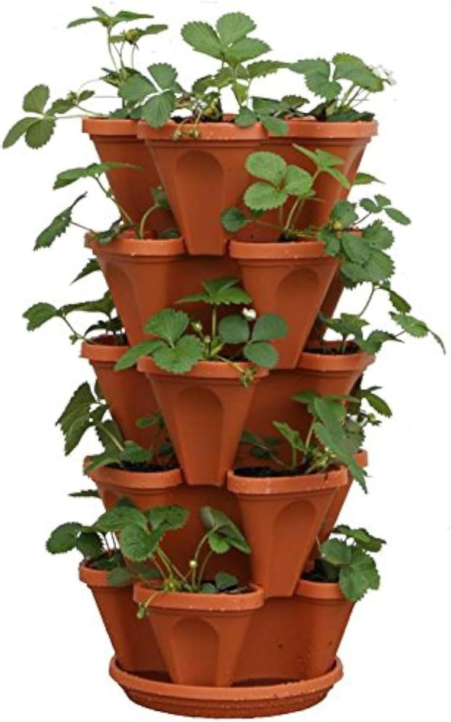 5-Tier Strawberry and Herb Garden Planters 5@13x13x5.2 inch - 24 quart Stackable Gardening Pots with 10 Inch Saucer (Terra-Cotta)