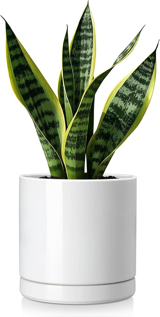 vancasso Ceramic Plant Pots, 6.25 Inch Ceramic Pot for Plants, Planters Pots for Indoor Plants with Drainage Holes, Flower Pot for Indoor House Plant, White