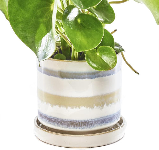 CHIVE ‘Minute’ Ceramic Planter Pot — Cute 5” Colorful Succulent Pots for Indoor & Outdoor House Plants — Beautiful Modern Farmhouse Kitchen Decor — Blue Green Layers