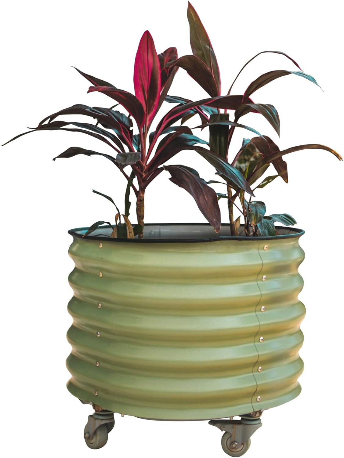 Vego garden Self-Watering Rolling Citrus Planter Raised Garden Bed Kits, Single Pack-Olive Green