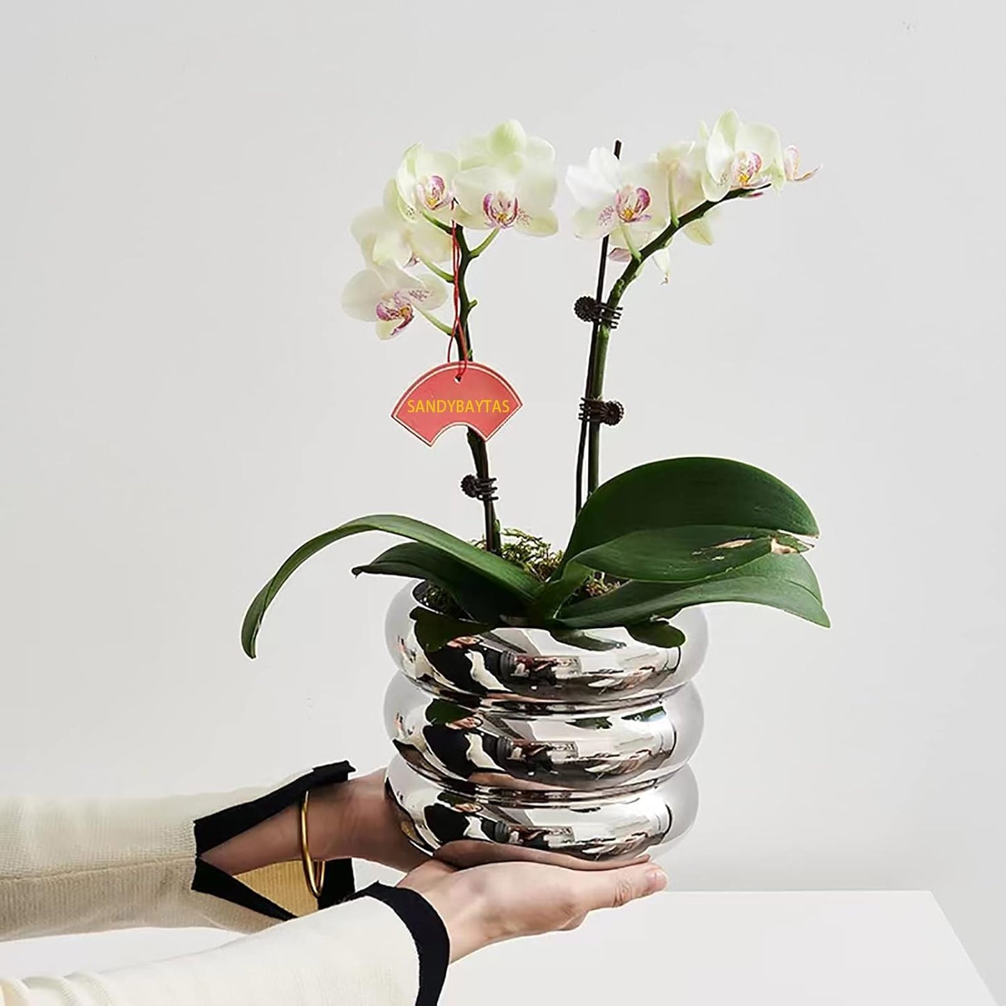 Ceramic Plant Pot Indoor, 4.7 Inch Flower Pot with Drainage Hole, Small Bubble Design Ceramic Planter for Home & Office Decor (Silver)