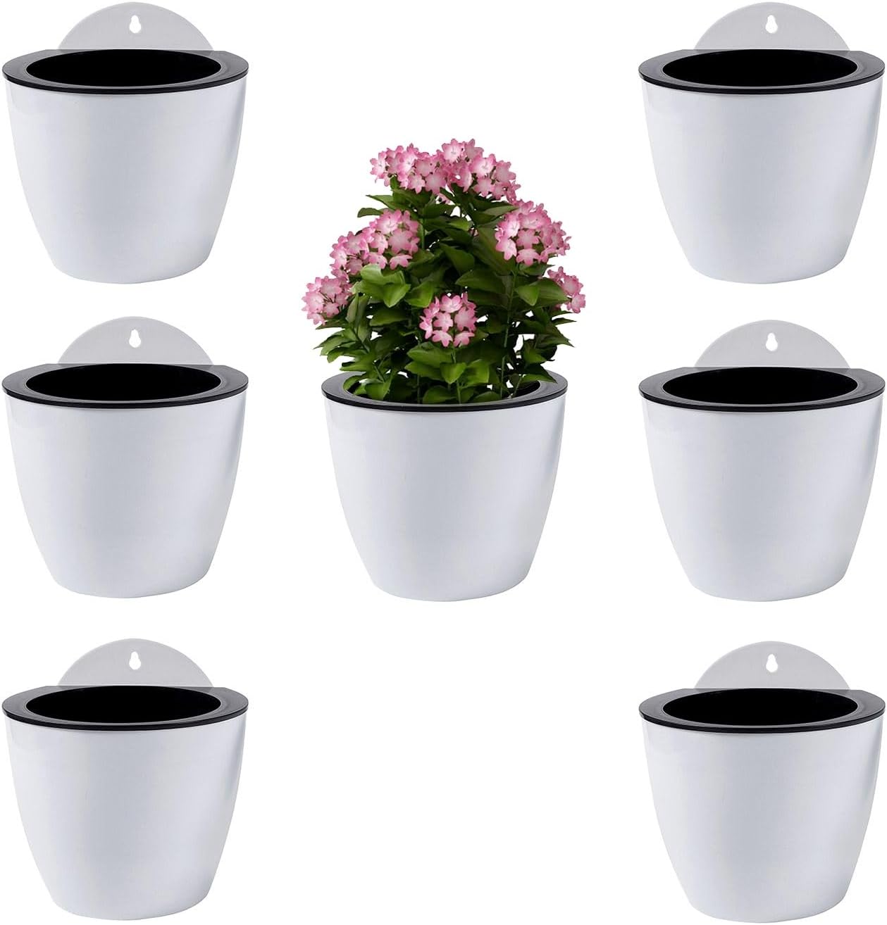 ShoppeWatch Wall Planters for Indoor Plants 7 Pack | Hanging Planters Large 7 Inch with Hooks | Wall Pots for Plants | 7.28 x 6.1 inches - PL35