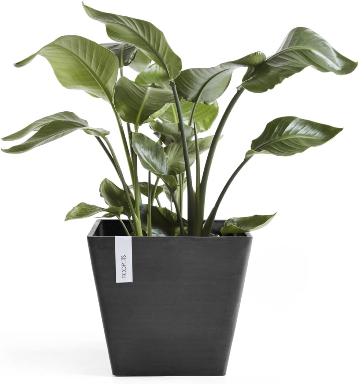 Ecopots Rotterdam Durable Modern Square Indoor/Outdoor Recycled-Based Composite Flower Planter, Dark Grey, 15.75"