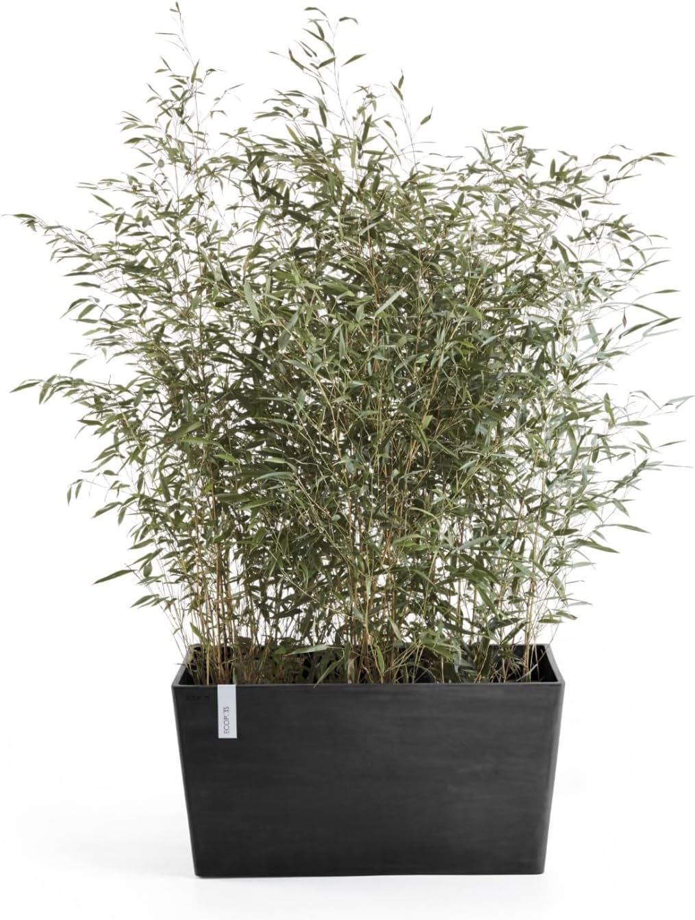 Ecopots Paris Durable Modern Rectangular Indoor/Outdoor Recycled-Based Composite Flower Planter, Dark Grey, 23.5"