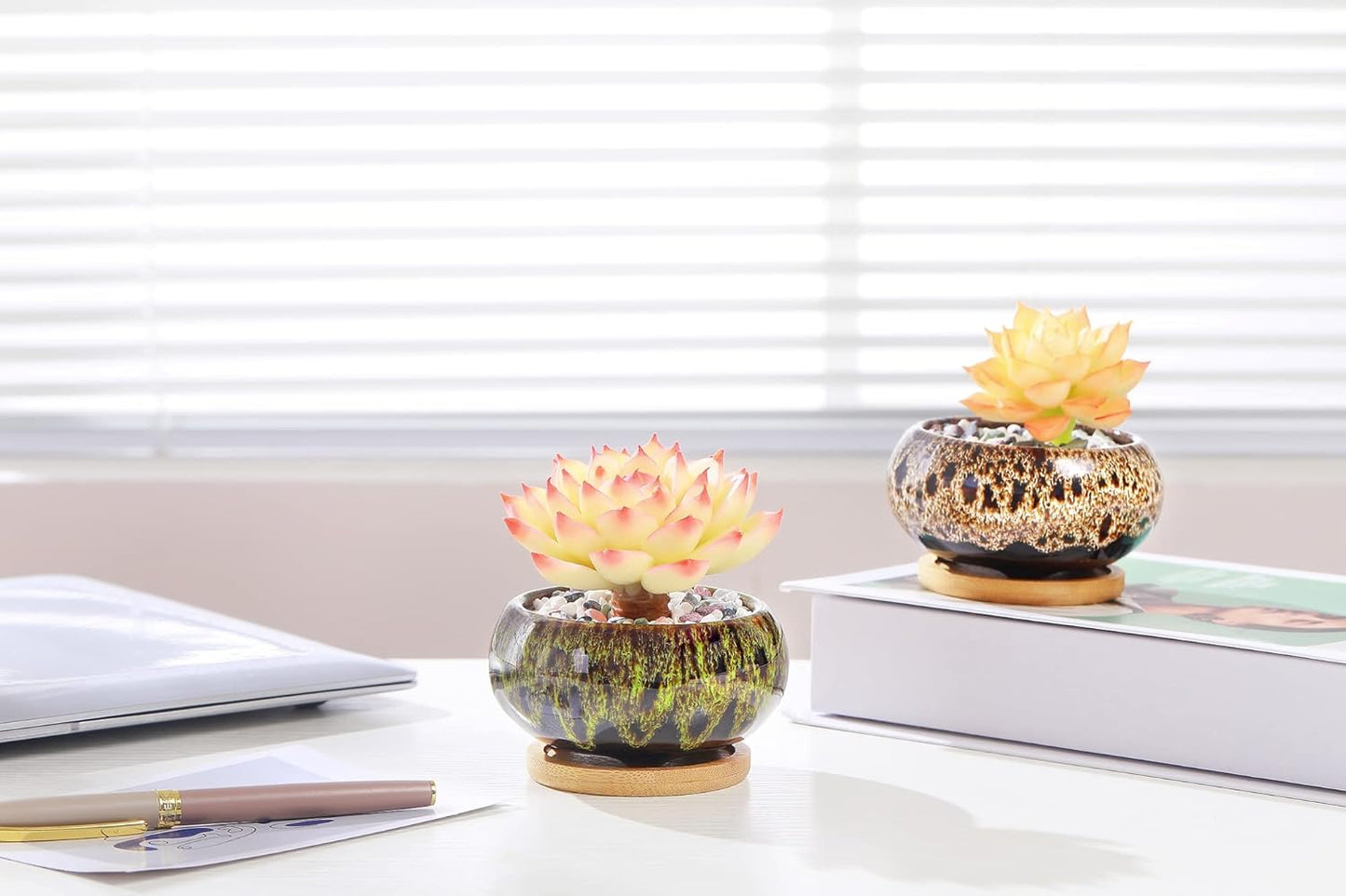 Cute Ceramic Succulent Garden Pots, Planter with Drainage and Attached Saucer, Set of 5 -Plants Not Included (Vivid Colors)