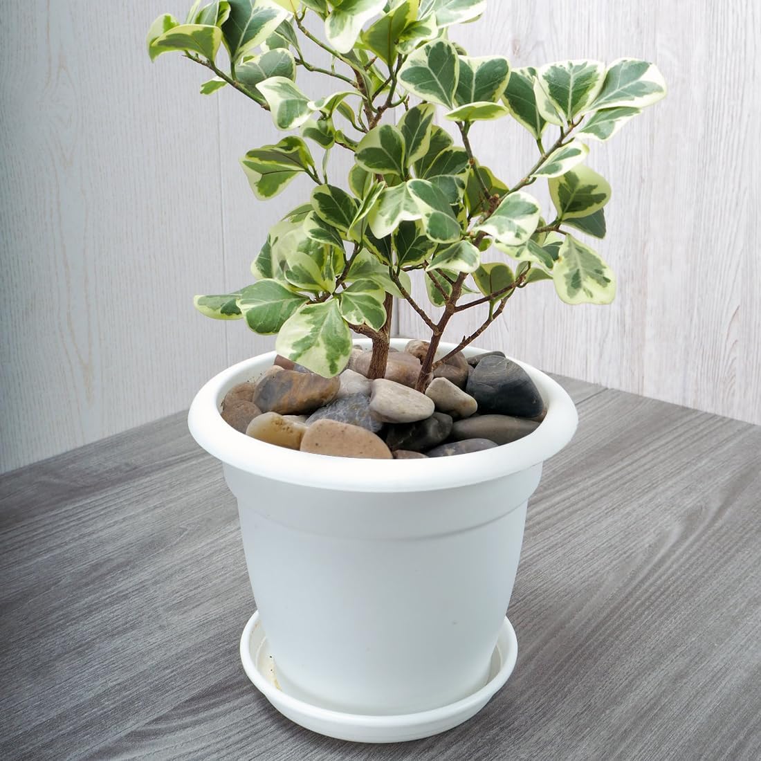 2lbs Aquarium Rocks, 5/8" Natural Mixed Pebbles for Plants Decorative Polished River Rocks for Fish Tank, Landscaping, Gardening, Flower Pots, Vase Fillers, Indoor Water Fountains,