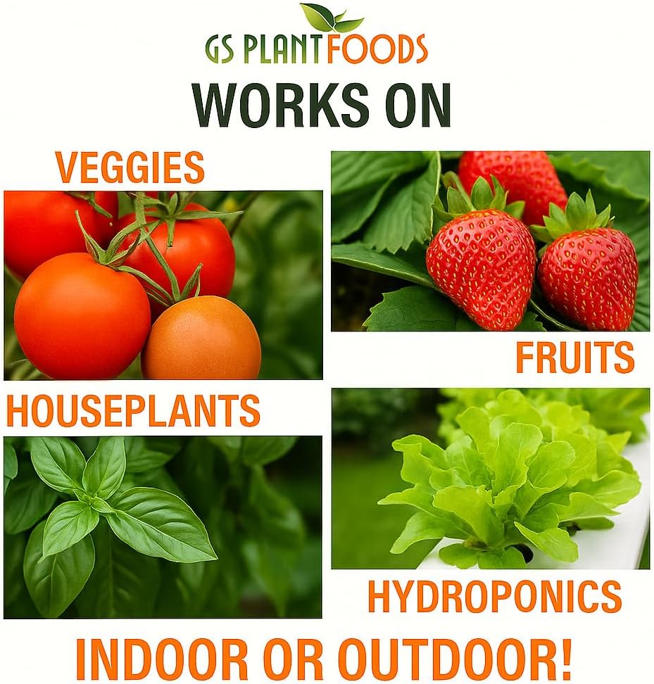 GS Plant Foods Liquid Kelp Fertilizer – Suitable for Organic Growing, OMRI Listed Seaweed Concentrate for Lawns, Gardens & Soil - 5 Gallons