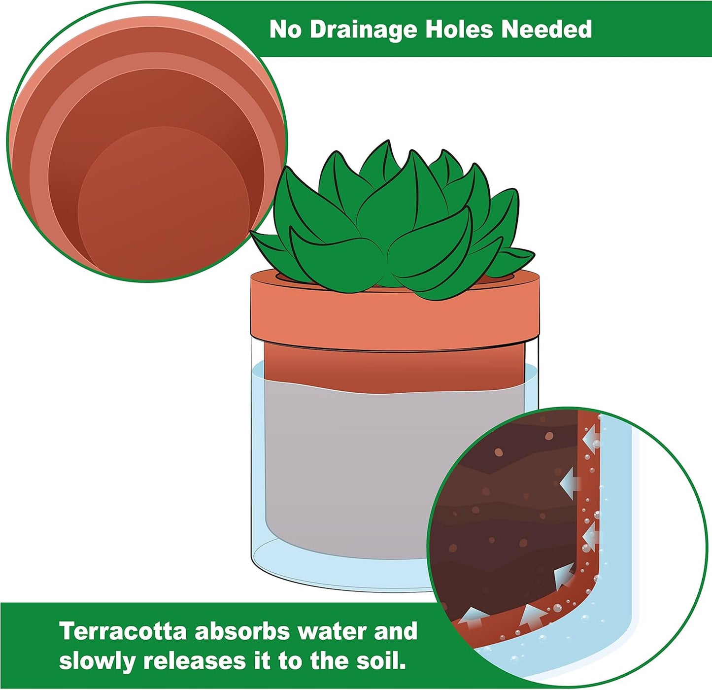 Phoenix Vine 4 Inch Self Watering Planter Pot, Terracotta Clay Pot with Glass Reservoir for Indoor Plants, Herbs, Flowers, Set of 1, 52-A-E-1