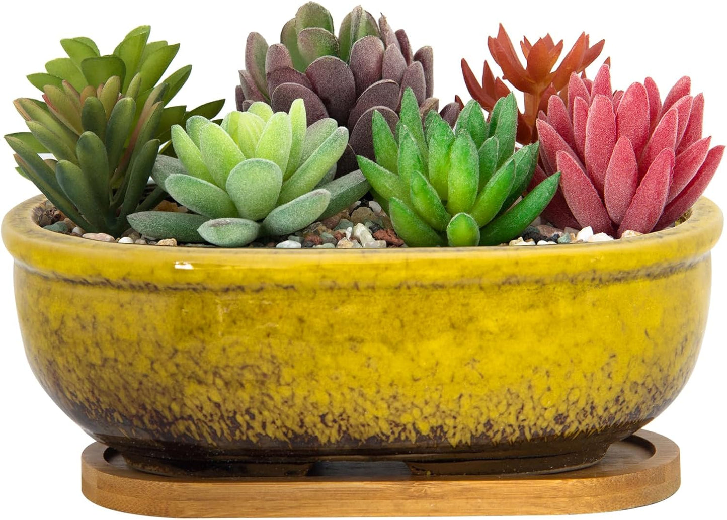 Succulent Pots, 7.9 Inch Long Rectangular Succulent Planters with Drainage Tray, Shallow Planters for Indoor Plants Ceramic Cactus Pots Glazed Bonsai Flower Plant Container for Home Windowsill Decor