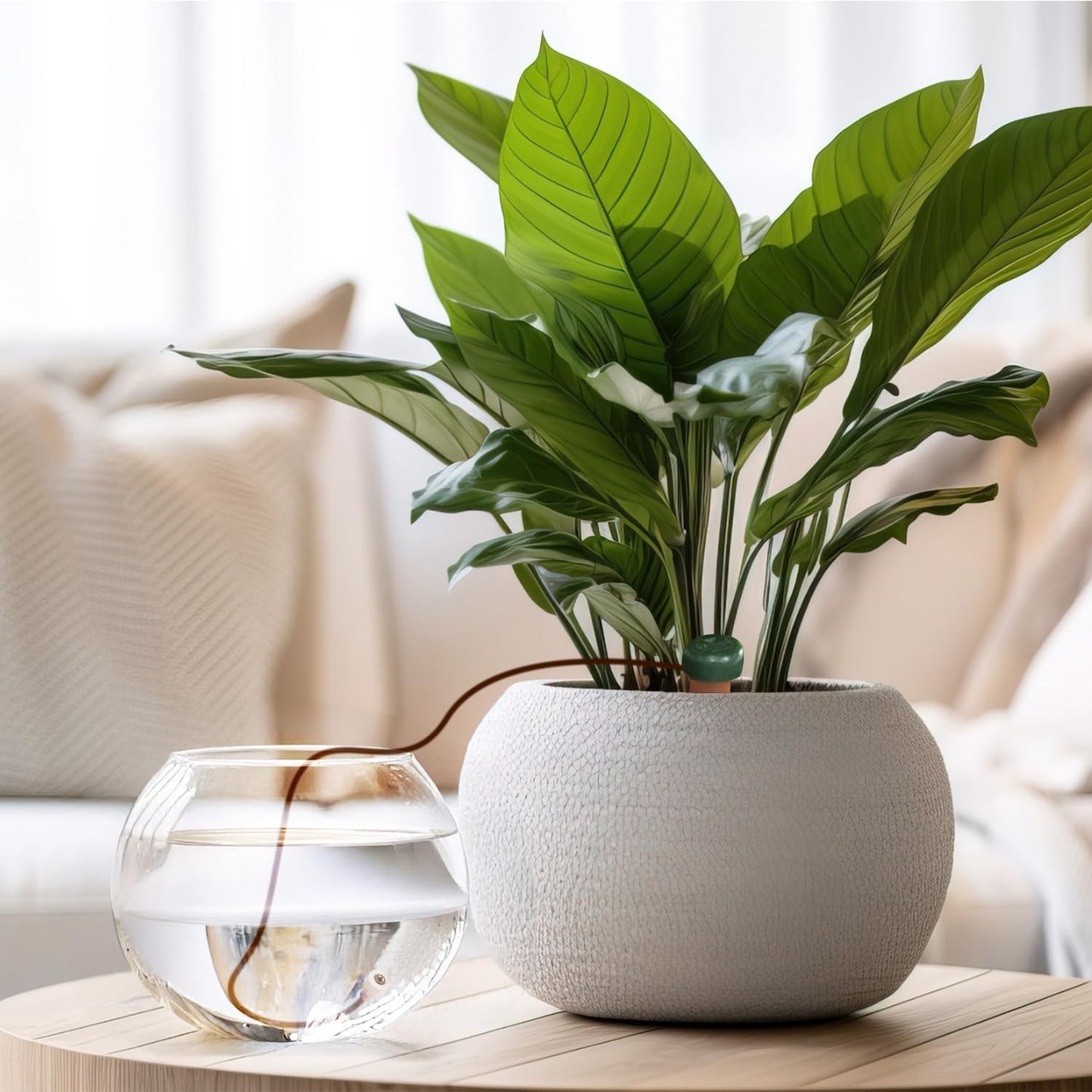 Blumat Classic Plant Watering Stakes - Self-Watering Insert for Indoor and Outdoor Plants - Automatic Slow Release Irrigation System for Potted Plants - Houseplant Care Device (3 Pack)