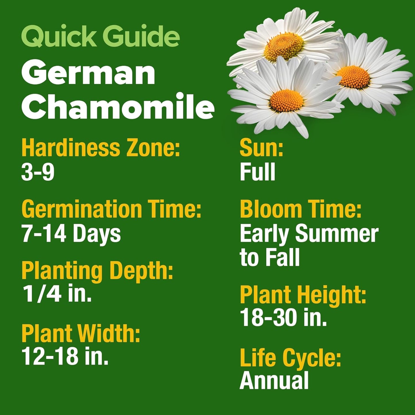 HOME GROWN 𝗨𝗦𝗔 𝗣𝗥𝗘𝗠𝗜𝗨𝗠 German Chamomile Seed Pack – 2,280 𝗡𝗢𝗡-𝗚𝗠𝗢 Heirloom Seeds for Planting for Sustainable Gardens and Soothing Medicinal Herbal Teas (Matricaria chamomilla)
